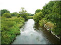S4943 : King's River from the footbridge near Kells Priory by Humphrey Bolton