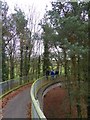 Slope to a footbridge over the M5 near Killerton