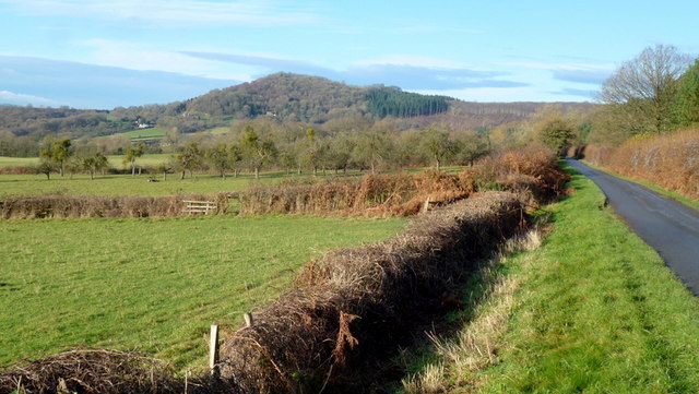 View to Backbury Hill