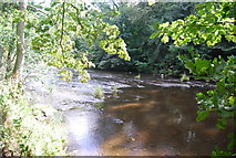 SE3357 : River Nidd by N Chadwick