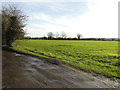 Dumpling Green, East Dereham