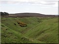 Quarry workings, Botany