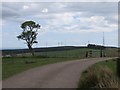 Road and farmland, Botany