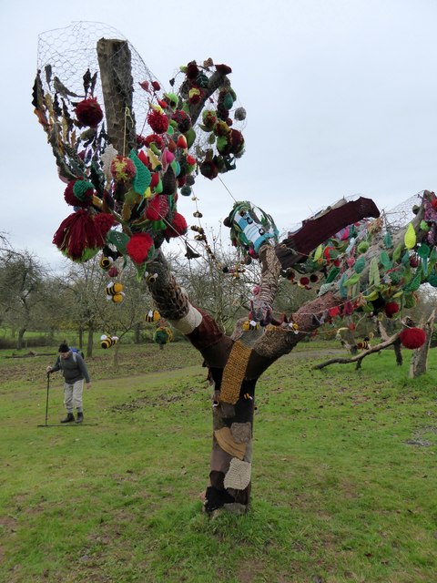 A tree decorated with wool at Killerton