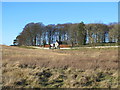 NY9279 : Moorland and woodland around the lodge of Carrycoats Hall by Mike Quinn