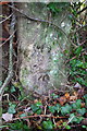 Benchmark on gatepost  beside B4026