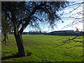 Goole High School Academy playing fields