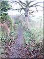 Bridleway - Beestonley Lane