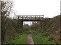 Disused bridge over the disused railway