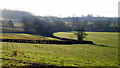 Herefordshire arable land