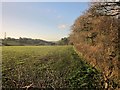 Edge of field, Trehane