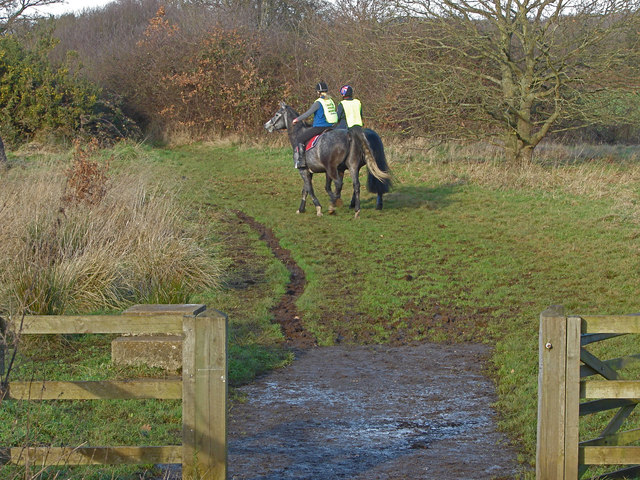 Riders, Horsell Common