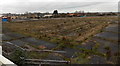 Site of the demolished livestock market in Taunton