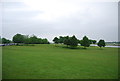 Trees by Eton Dorney Lake