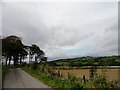 View west from the lane to Greenwell Farm