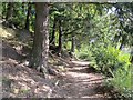 Path, Sanquhar Loch