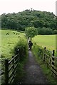 Footpath to Castlehead Wood