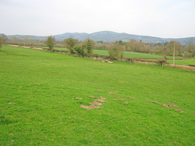 Meadows at Old Colwall
