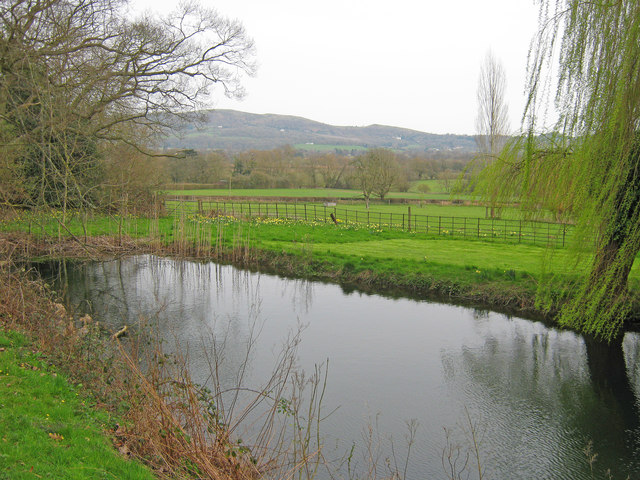Pond at Old Colwall