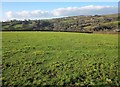 Field south of Middlehill