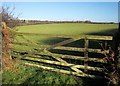 Field by Tenacres Lane