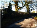 Looking across the west end of Pitt Hill Lane