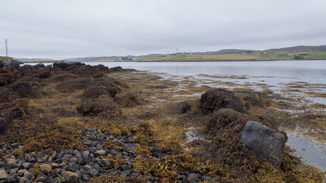 Shoreline on Loch Ròg