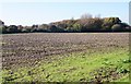 Field west of Kingston Lane