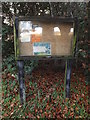 TM3669 : St.Peter's Church Notice Board by Geographer