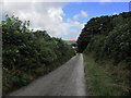 SX0868 : Minor lane leading down to Holton, Bodmin by Colin Park