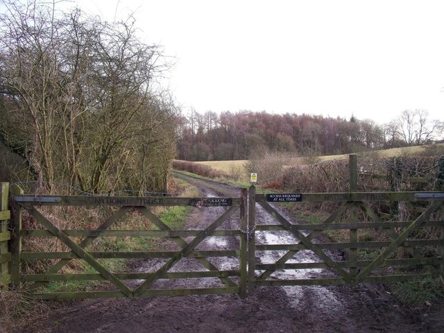 Track into South Wood
