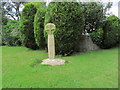 Tregoodwell Ancient Cross, Camelford