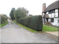 Back Lane, Clandon