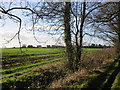 Stokeham seen from Wranglands Lane