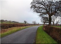SK2931 : Findern Lane near Burnaston by Jonathan Clitheroe