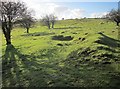 Moorland near Tokenbury Corner