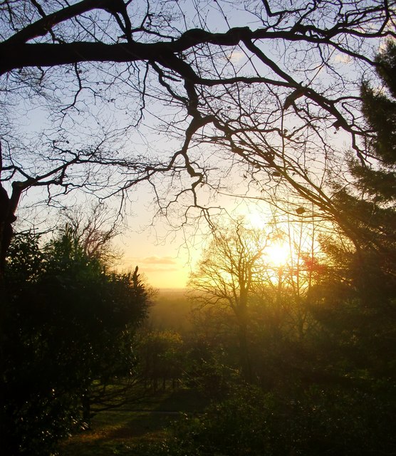Midwinter sunset, seen from the scarp south of Pembroke Lodge
