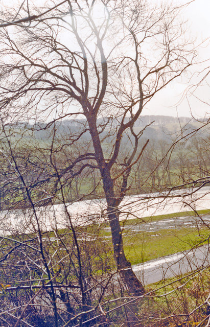 River Tweed at Boleside, 1989