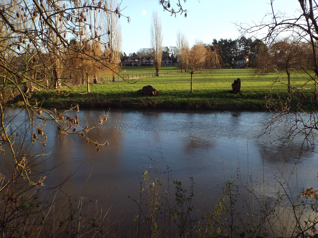 Floodmeadow behind Ashley Crescent, Myton, Warwick 2014, December 19