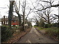 Track to Dedswell Manor Farm, Clandon