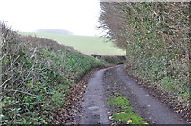 ST1431 : Taunton Deane : Country Lane by Lewis Clarke
