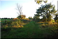 Footpath off the Sandling Walk