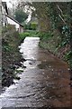 Taunton Deane : Track & Stream