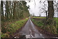 ST1532 : Taunton Deane : Nethercott Lane by Lewis Clarke