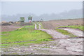 ST1532 : Taunton Deane : Field & Track by Lewis Clarke
