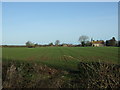 Crop field near Wansford