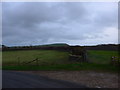 Farmland opposite St Michael & All Angels, Steeple