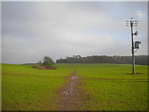 SK5835 : Footpath to Sharphill Wood, Wilford Hill by Richard Vince