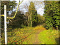 Bridleway on Mickleborough Hill (2)