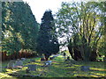 St Mary Magdalen, Ripley: churchyard (b)